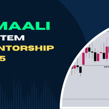 Somali system ( New Strategy )