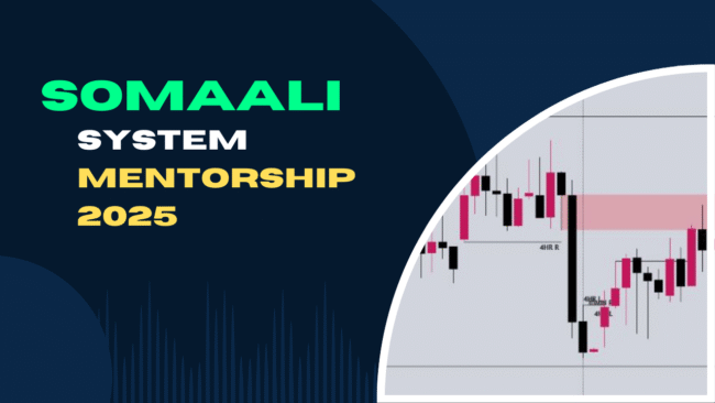 Somali system ( New Strategy )